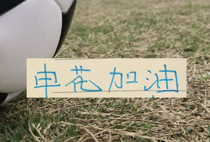 开云-爱游戏-如果没有罚分的话！申花应该是夺冠热门|上海申花|联赛|成都|中超|上海申花足球俱乐部_新浪体育_新浪新闻